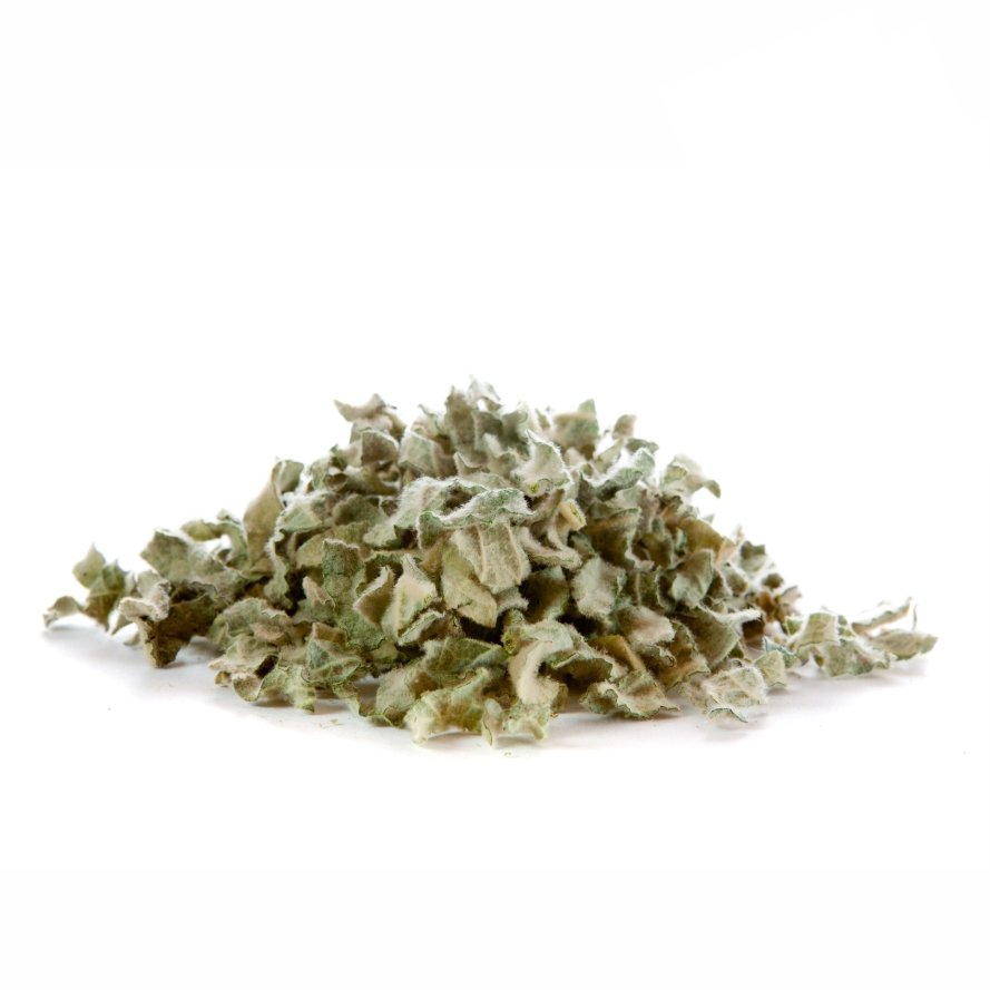 Common mullein Cultivation | Common mullein farming and Common mullein ...