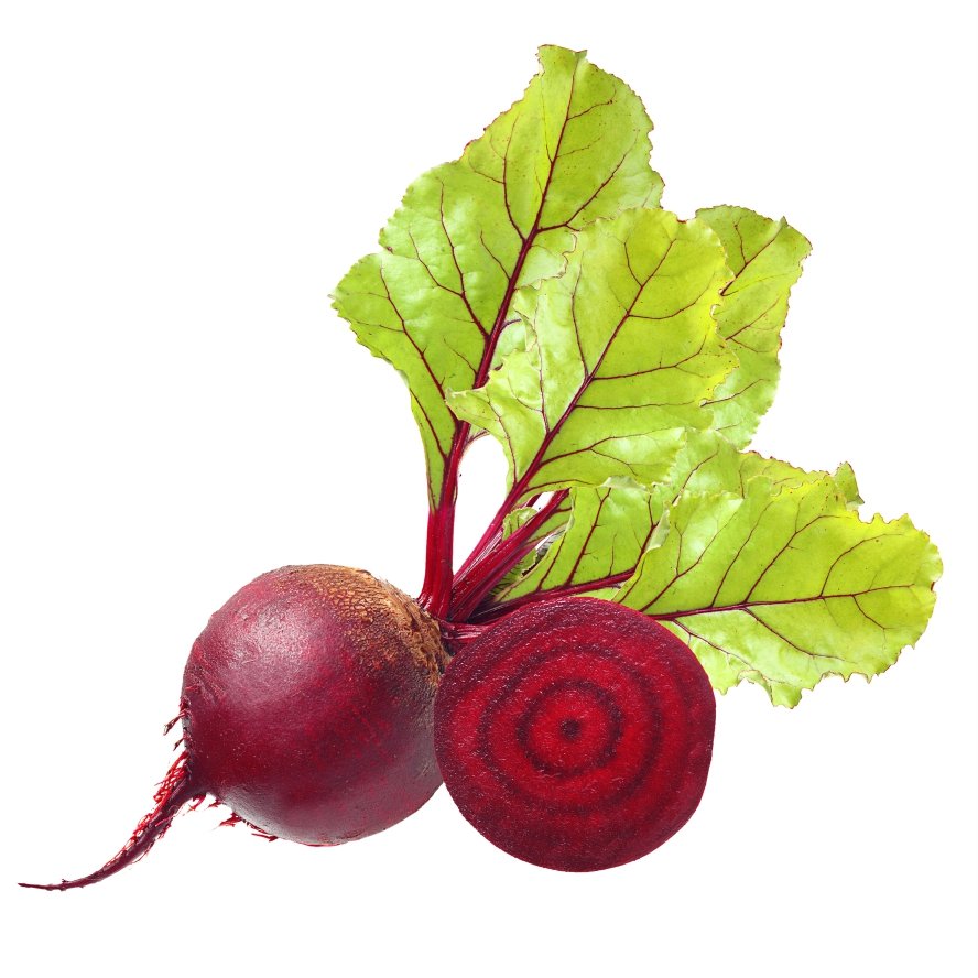 Beetroot cultivation | Beetroot crop management #Agrownet